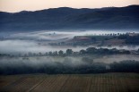 Borgo Finocchieto - Surrounding Countryside